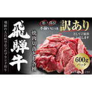 【訳あり】 飛騨牛 焼肉 切り落とし 600ｇ ブランド牛 切落し 不揃い （MZ013） - ROJI日本橋 ONLINE STORE
