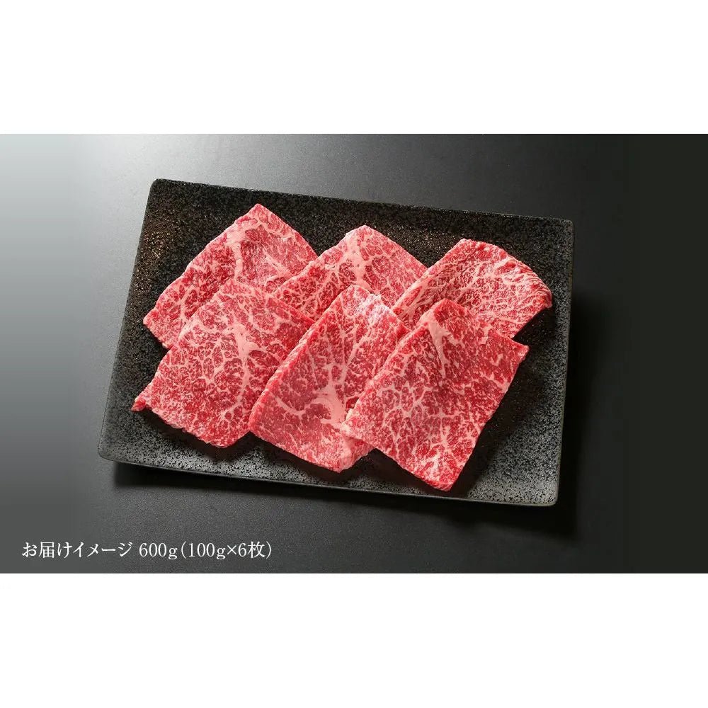 【送料込み】【岐阜県】飛騨牛 赤身ステーキ 600g（100g×6枚） （MZ018） - ROJI日本橋 ONLINE STORE
