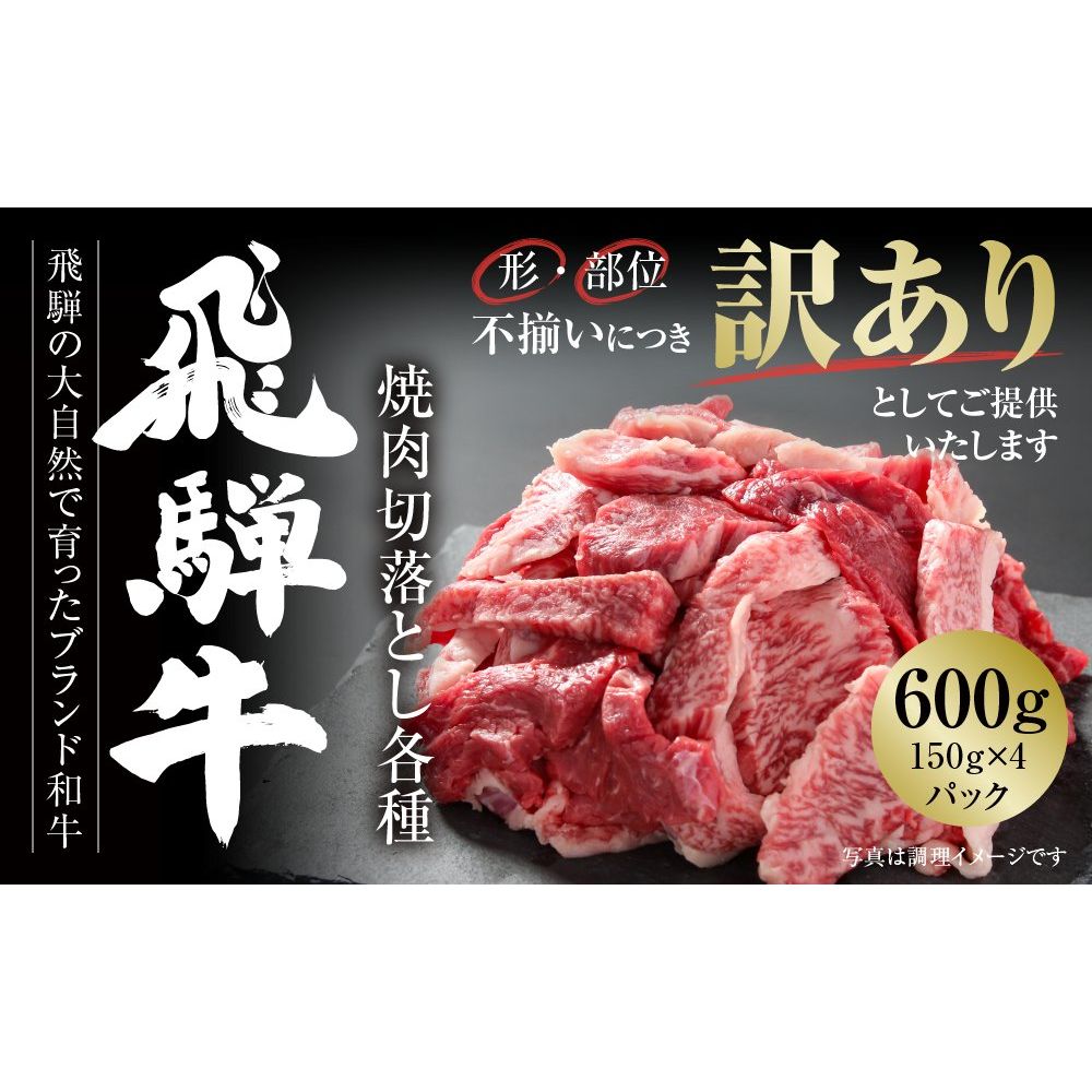 【訳あり】 飛騨牛 焼肉 切落とし 600g（150ｇ×4パック）（MZ014） - ROJI日本橋 ONLINE STORE