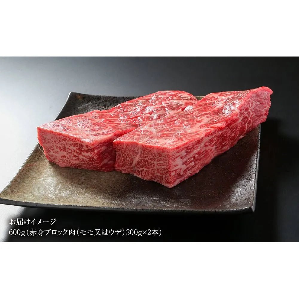 【送料込み】【岐阜県】飛騨牛 赤身 ブロック[塊] 600ｇ（300g×2個） 真空パック （MZ021） - ROJI日本橋 ONLINE STORE