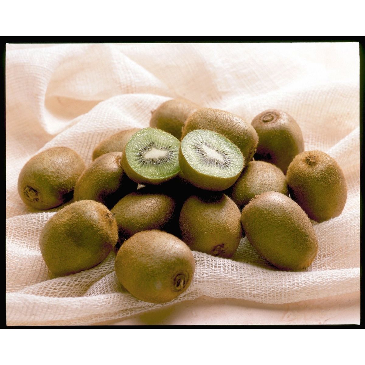 【送料込み】【山梨県】山梨県産　グリーンキウイ［８００ｇ］ - ROJI日本橋 ONLINE STORE