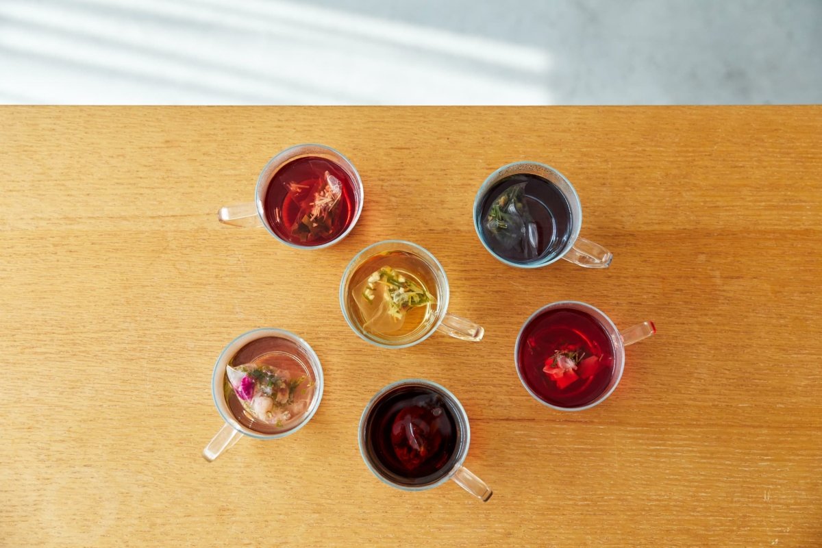 【送料込み】【ノンカフェイン・有機/無農薬】クラフトハーブティー daytune. tea ボックス・L(6種類×3個） - ROJI日本橋 ONLINE STORE