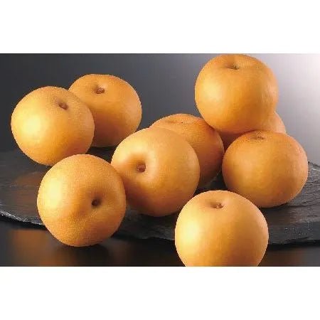 【送料込み】【福島県】福島県幸水梨 JA福島 2.5kg（8～9個） - ROJI日本橋 ONLINE STORE