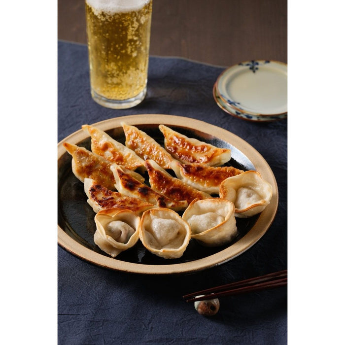 【送料込み】【高知県】土佐を包む お山の餃子（土佐あかうし・野菜） - ROJI日本橋 ONLINE STORE
