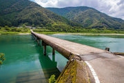 【送料込み】【高知県】四万十ポークローストンテキ・トンカツ用 - ROJI日本橋 ONLINE STORE