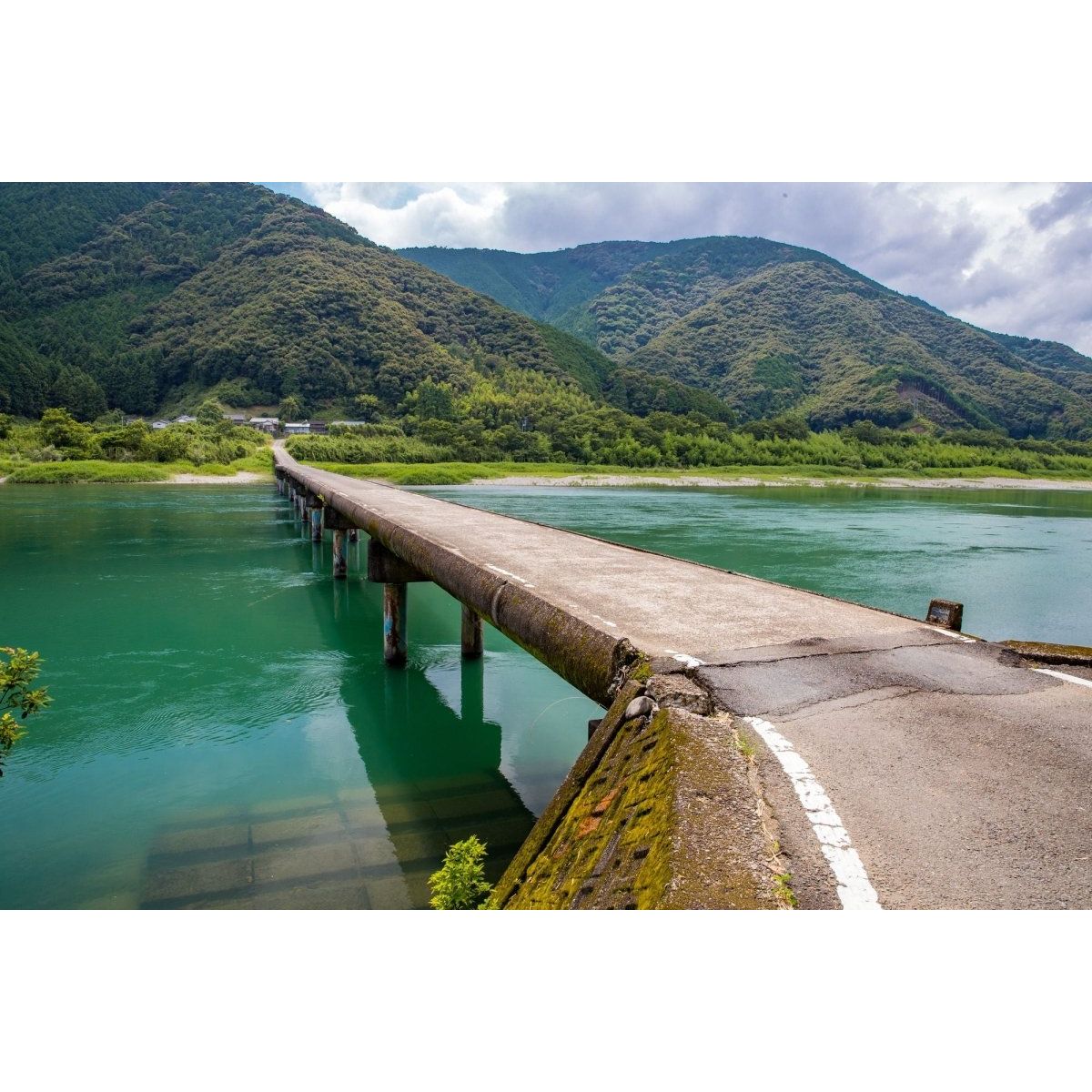 【送料込み】【高知県】四万十ポークローストンテキ・トンカツ用 - ROJI日本橋 ONLINE STORE
