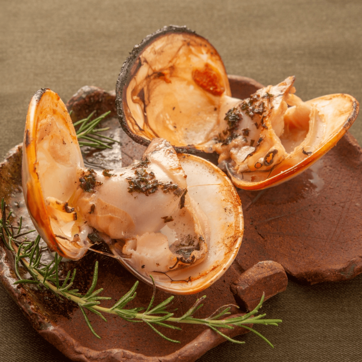 【送料込み】海風ディッシュ（伊勢海老、煮あわび、蒸しさざえ、地はまぐり） - ROJI日本橋 ONLINE STORE