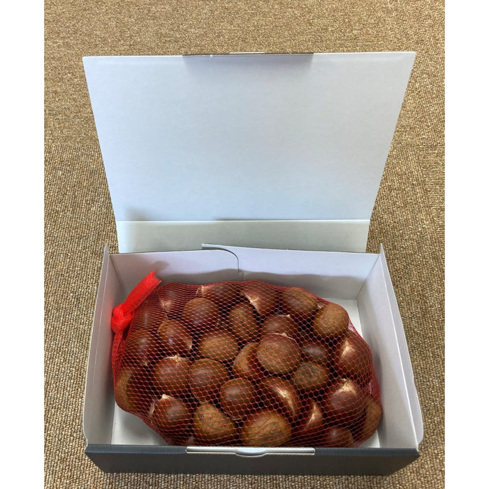 【送料込み】【茨城県】茨城・押手農園　倉方甘栗（生栗） - ROJI日本橋 ONLINE STORE