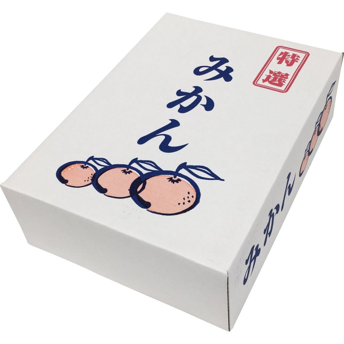 【送料込み】【高知県】山北みかん - ROJI日本橋 ONLINE STORE