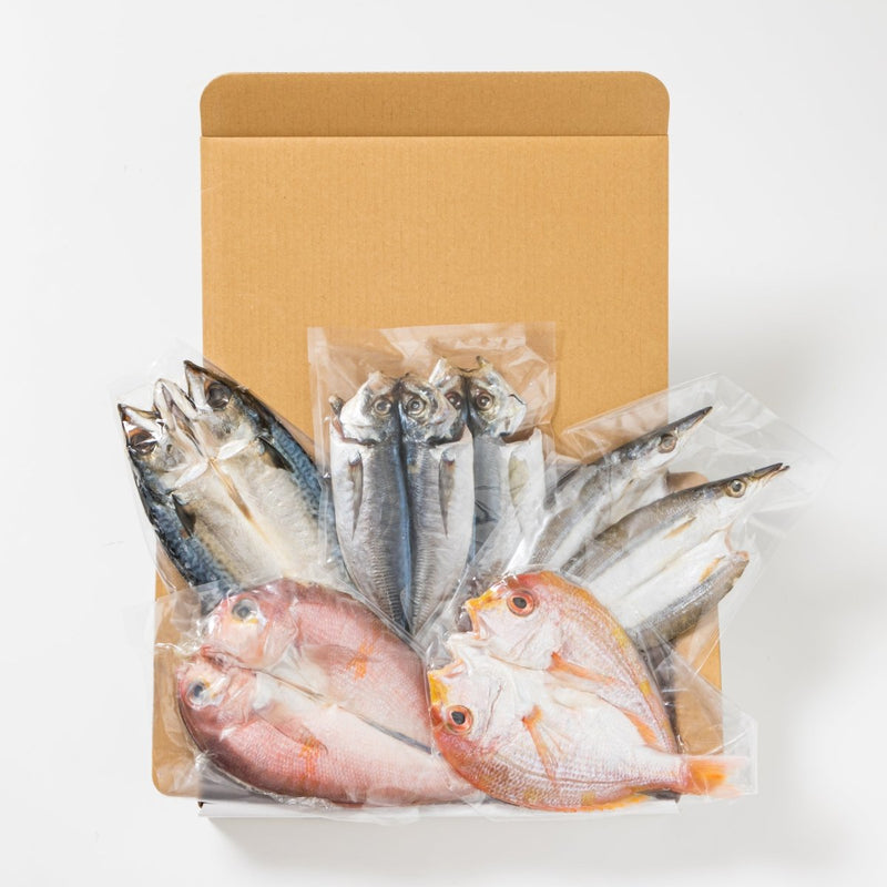 【送料込み】海鮮一汐開きセット - ROJI日本橋 ONLINE STORE