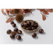 【送料込み】【茨城県】茨城・押手農園　倉方甘栗（生栗） - ROJI日本橋 ONLINE STORE