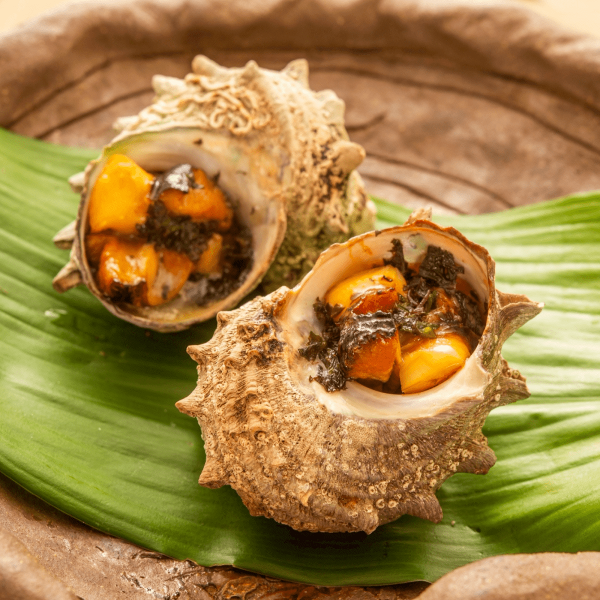 【送料込み】海風ディッシュ（伊勢海老、煮あわび、蒸しさざえ、地はまぐり） - ROJI日本橋 ONLINE STORE