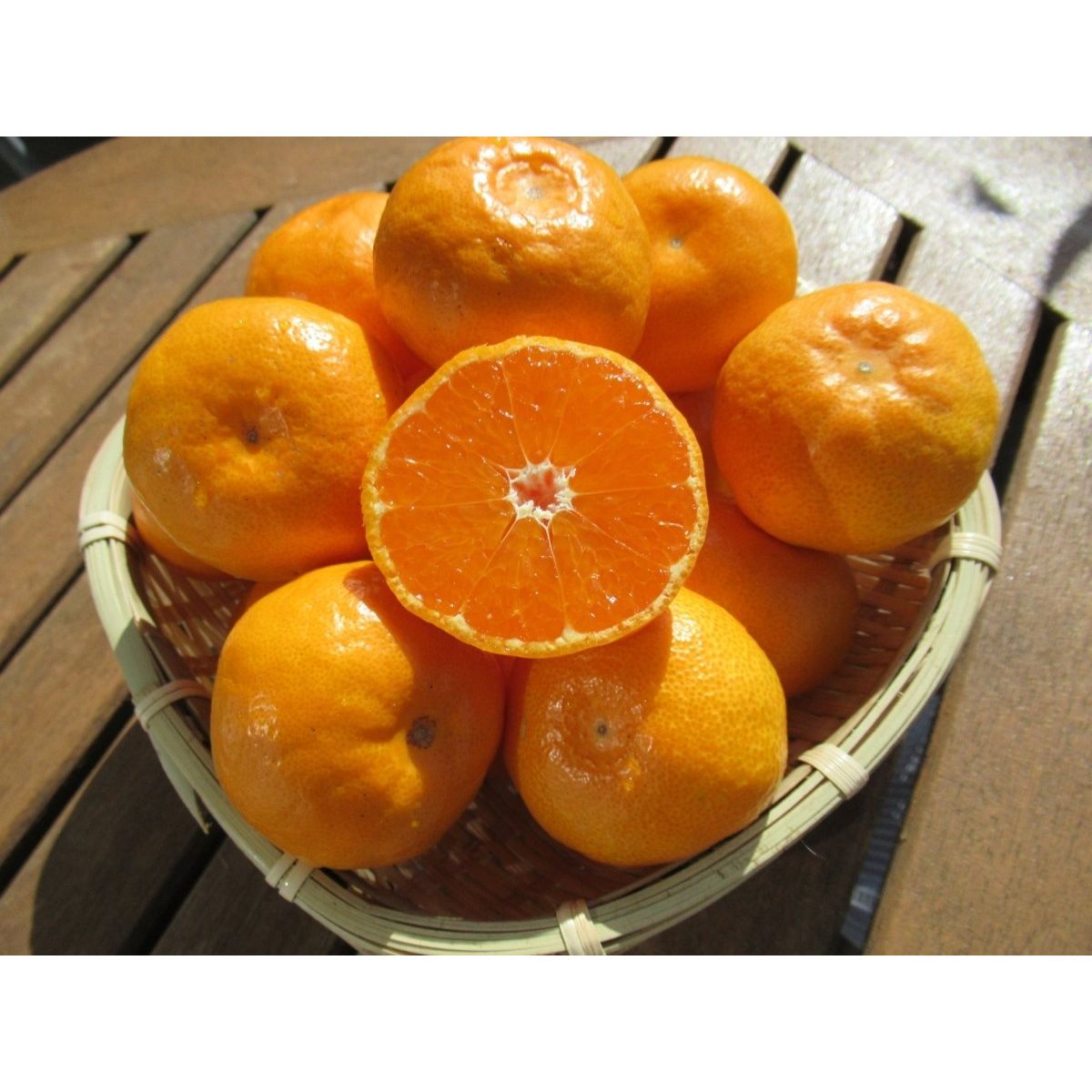 【送料込み】【高知県】山北みかん - ROJI日本橋 ONLINE STORE