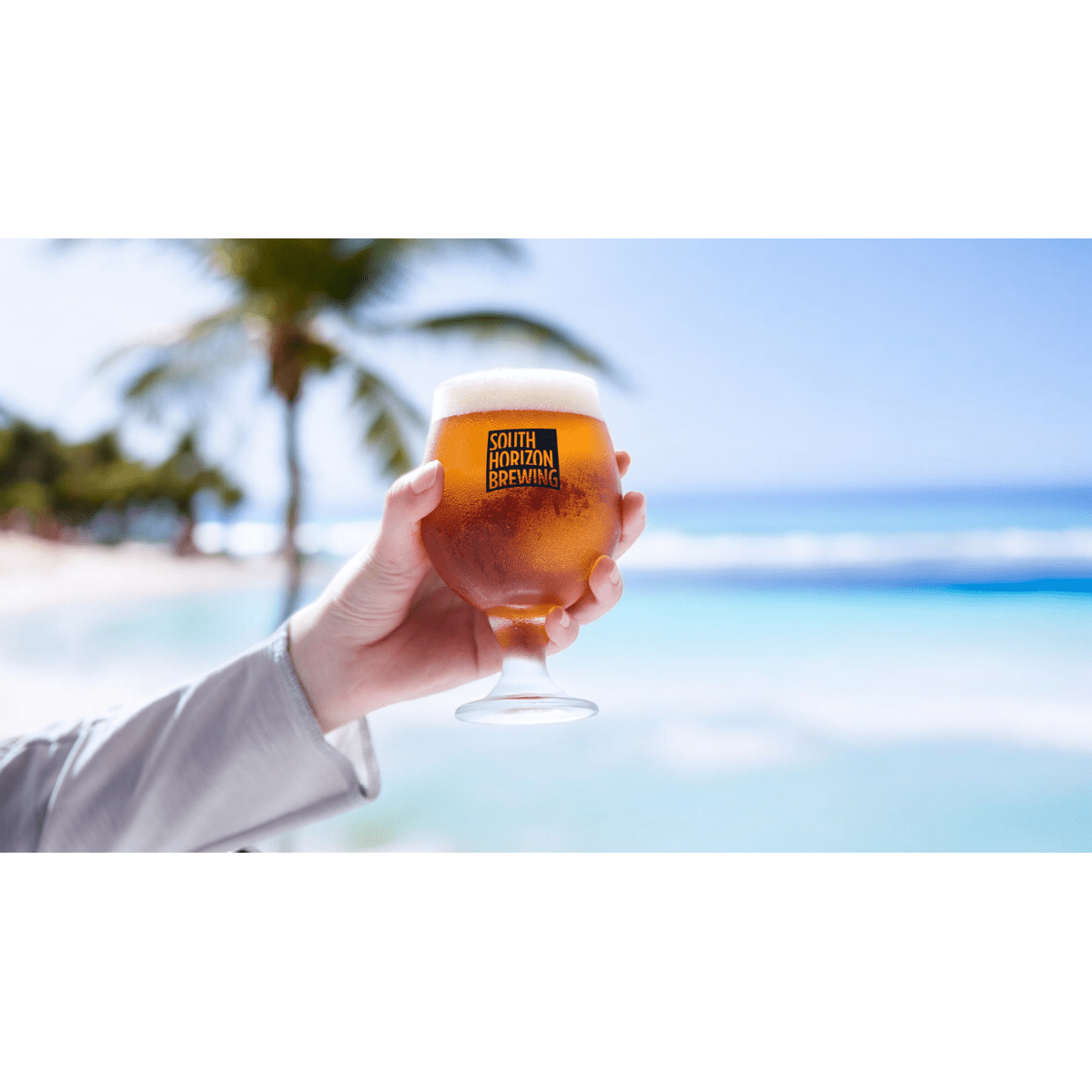 【送料込み】【高知県】SOUTH HORIZON クラフトビール6種飲み比べ≪北海道・沖縄・離島配送不可≫ - ROJI日本橋 ONLINE STORE