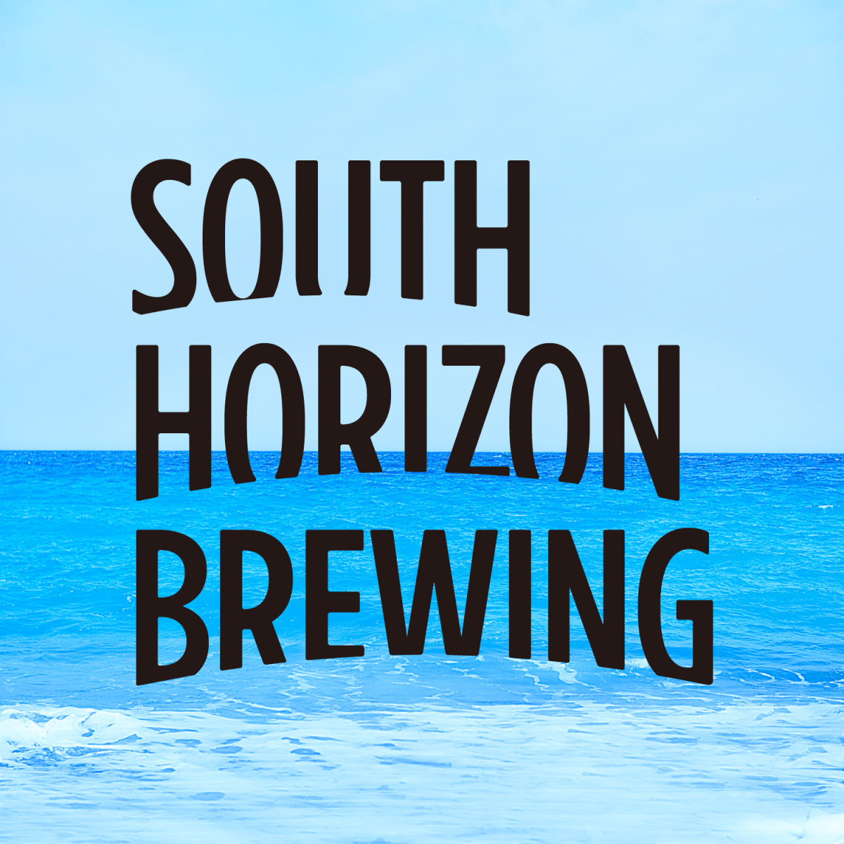 【送料込み】【高知県】SOUTH HORIZON クラフトビール6種飲み比べ≪北海道・沖縄・離島配送不可≫ - ROJI日本橋 ONLINE STORE