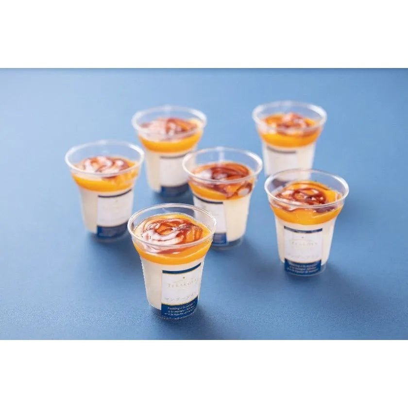 【送料込み】【大阪府】TERAKOYA監修　濃厚マンゴープリン　6個 - ROJI日本橋 ONLINE STORE