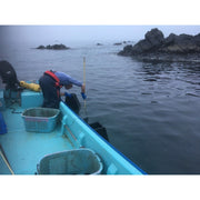 三陸産 天然蝦夷あわび 1㎏ - ROJI日本橋 ONLINE STORE