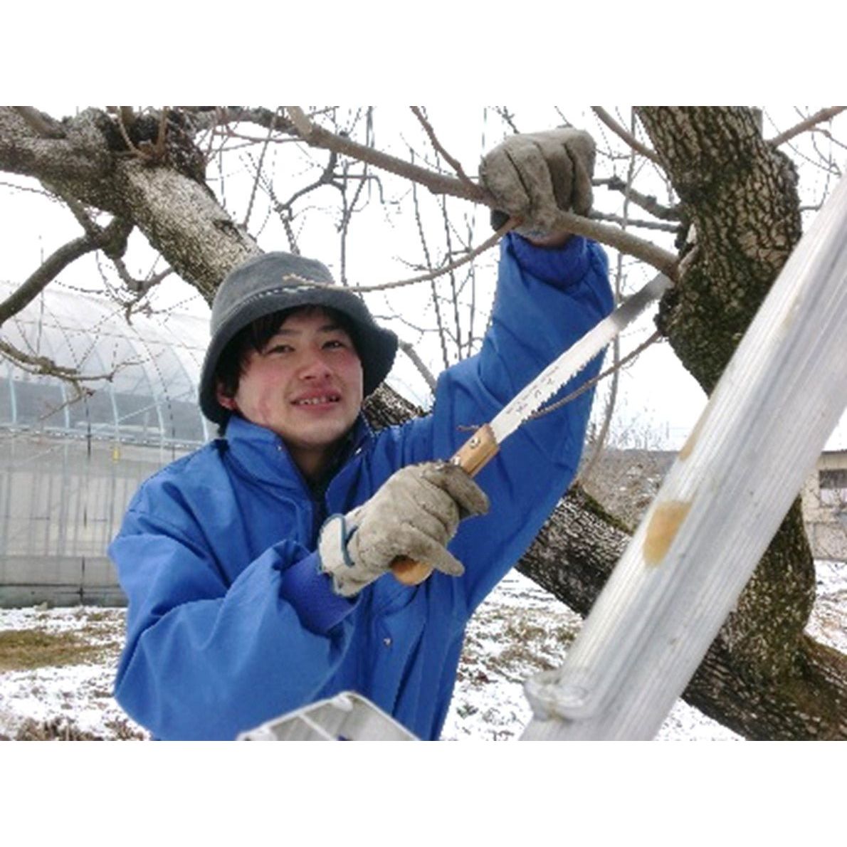 戸田屋　市田柿フロマージュ　100g×3 - ROJI日本橋 ONLINE STORE