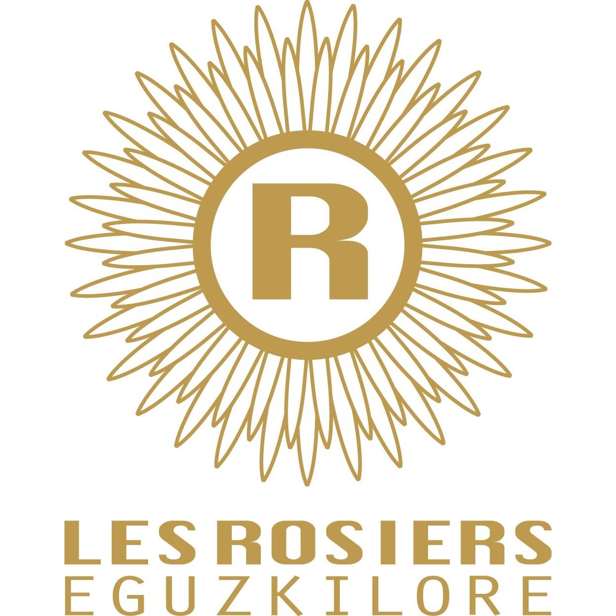 銀座京橋　レ　ロジェ　エギュスキロール　アイス　11個 - ROJI日本橋 ONLINE STORE