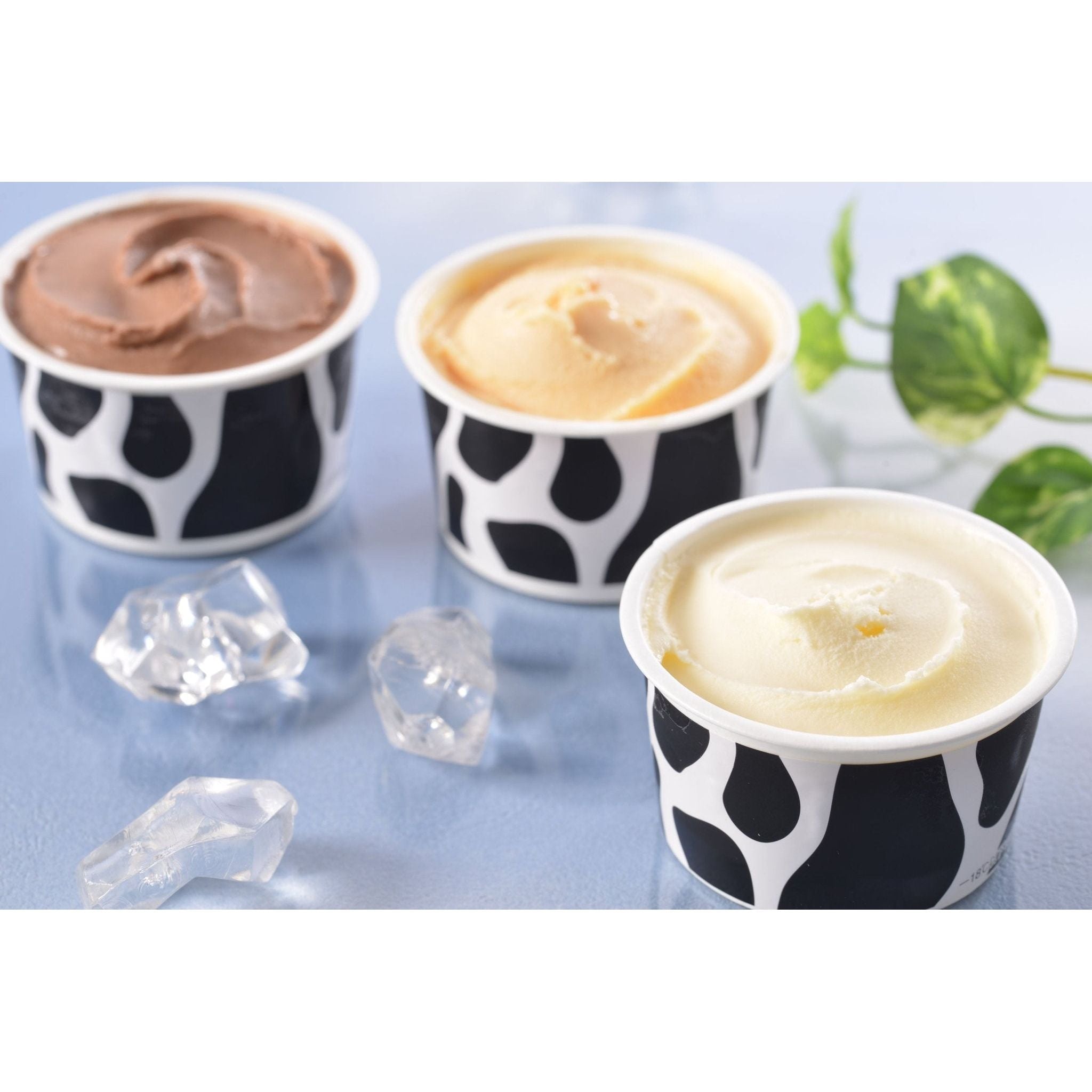 ディームファクトリー　十勝白い牧場アイスコレクション　11個 - ROJI日本橋 ONLINE STORE