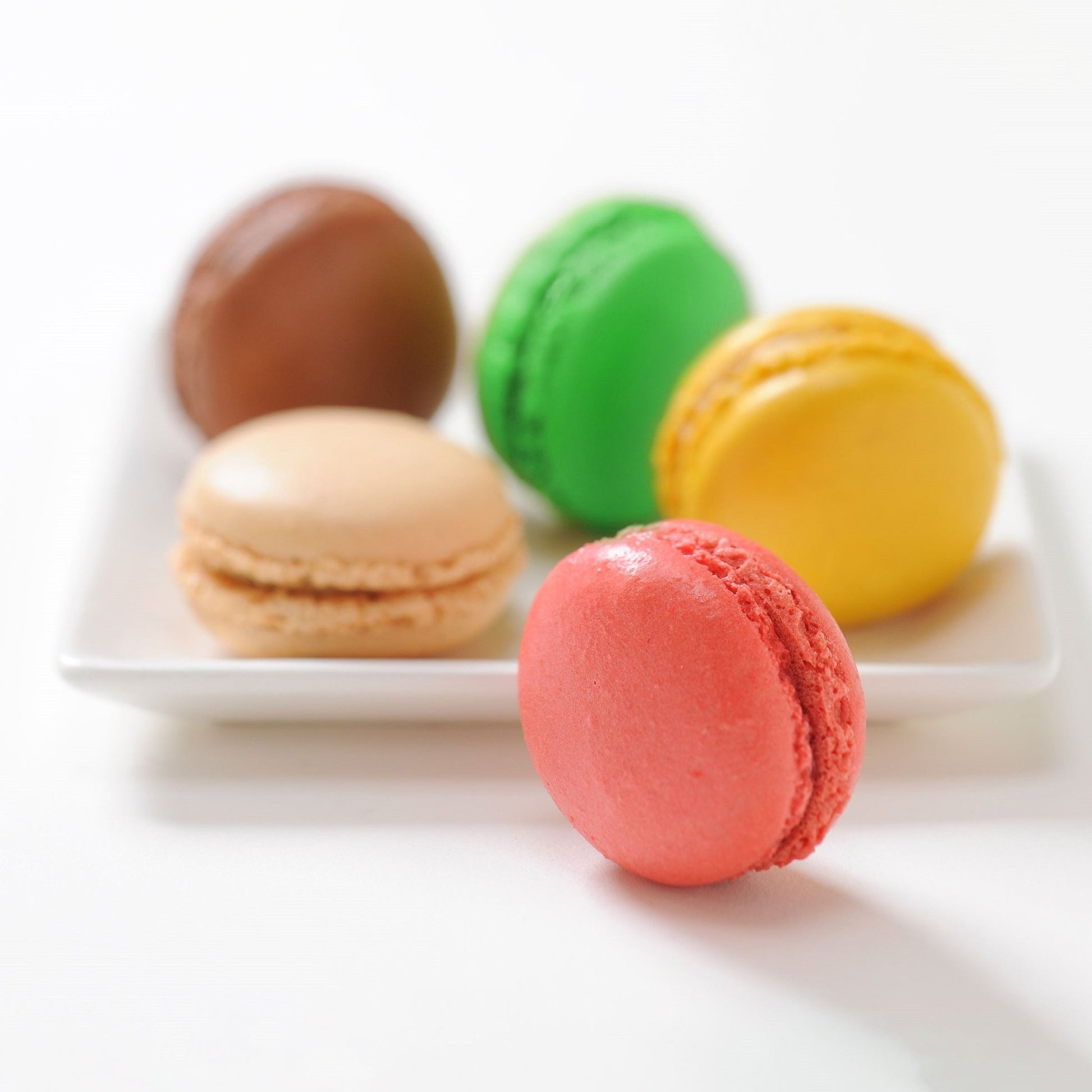 ダロワイヨ　マカロン詰合わせ　12個入 - ROJI日本橋 ONLINE STORE