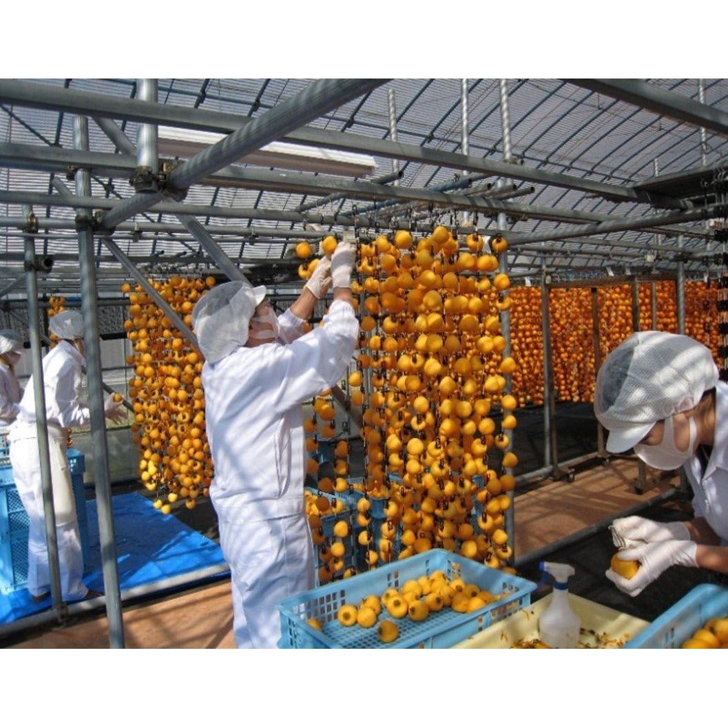 戸田屋　市田柿フロマージュ200ｇ - ROJI日本橋 ONLINE STORE