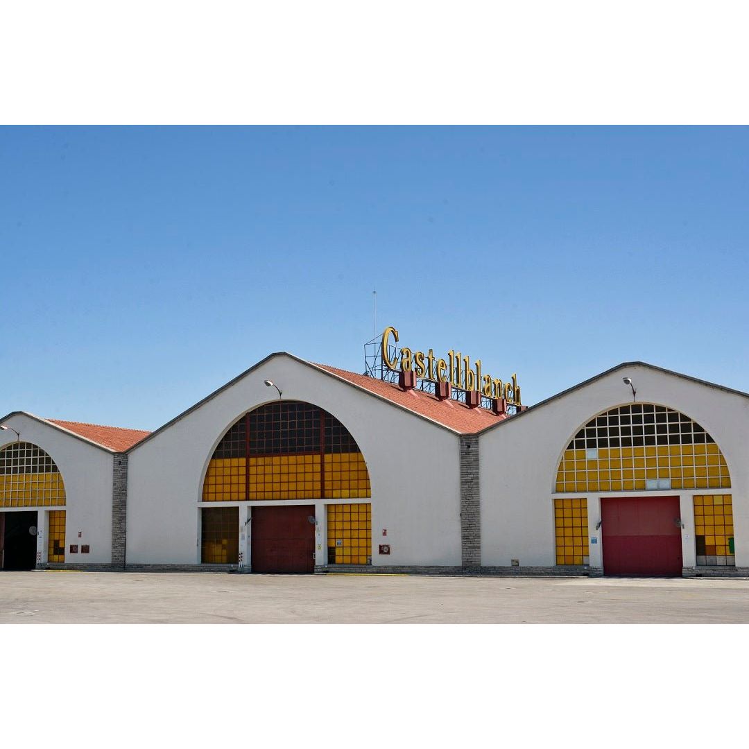 【ワイン入門編】気軽に楽しめるハーフボトル ワイン3種セット - ROJI日本橋 ONLINE STORE