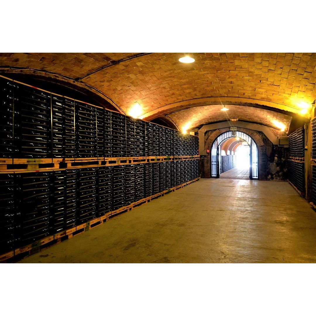 【ワイン入門編】気軽に楽しめるハーフボトル ワイン3種セット - ROJI日本橋 ONLINE STORE