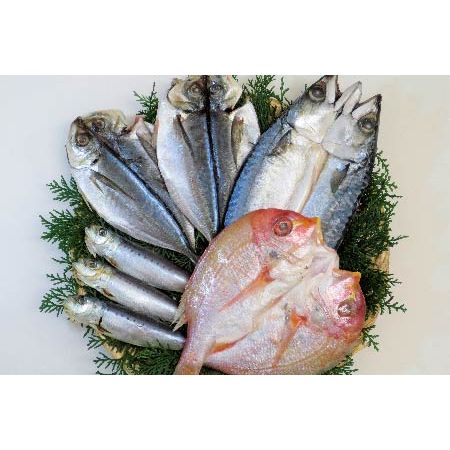 九州一夜干し4種 - ROJI日本橋 ONLINE STORE