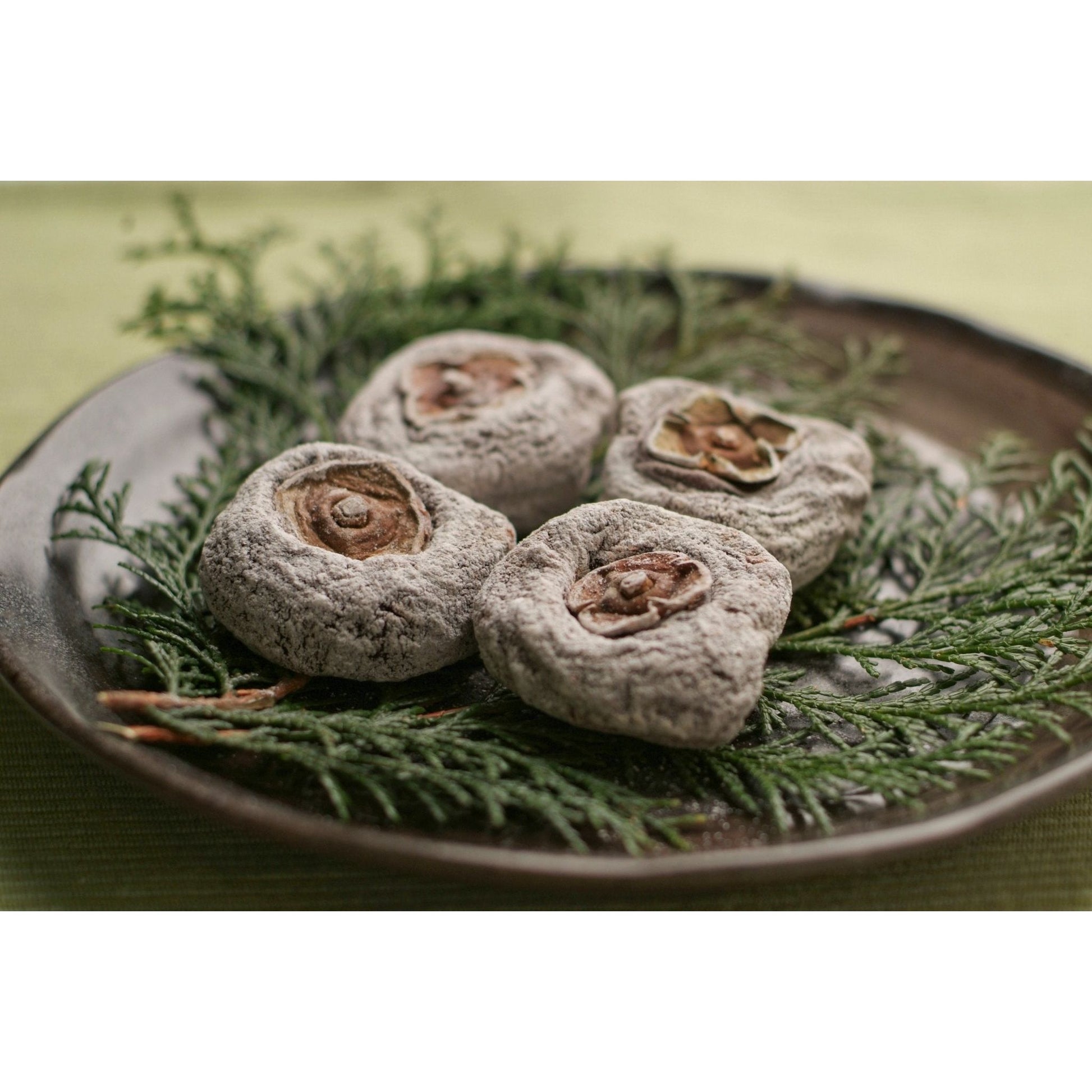 王隠堂 大和の干し柿　約40g×30個 - ROJI日本橋 ONLINE STORE