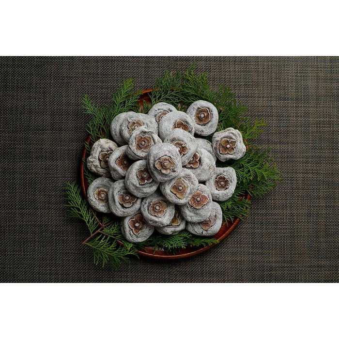 王隠堂 大和の干し柿　約40g×30個 - ROJI日本橋 ONLINE STORE