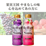 テンヨ 飲む果実酢詰合せ 6本 - ROJI日本橋 ONLINE STORE