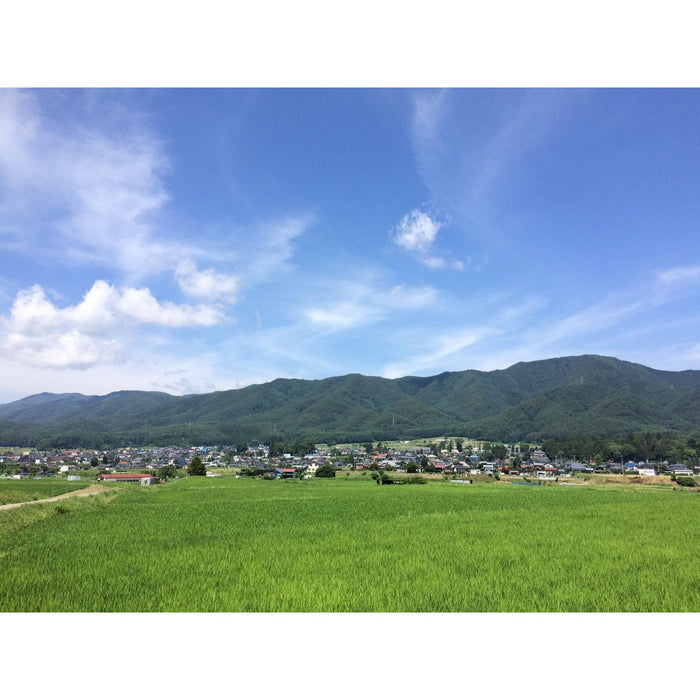 美勢商事　点心バラエティ6種詰合せ - ROJI日本橋 ONLINE STORE