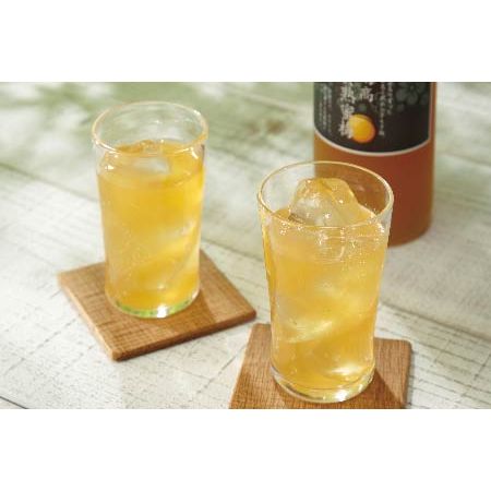 王隠堂南高黄熟蜜梅 2本セット　720ml×2 - ROJI日本橋 ONLINE STORE