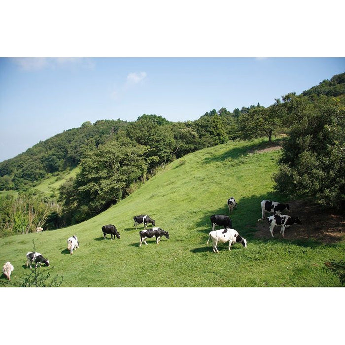 [Shipping included] [Wakayama Prefecture] Kurosawa Ranch Beef Pattern Roll Cake Set of 2