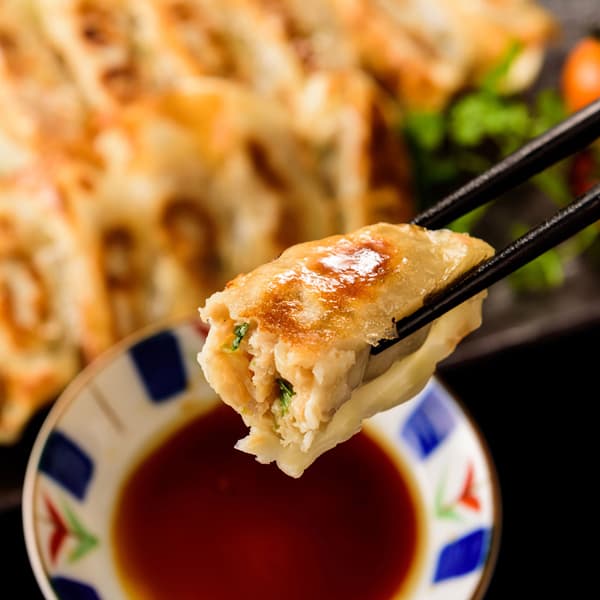 平田牧場　特製生ぎょうざ 72個ギフト - ROJI日本橋 ONLINE STORE