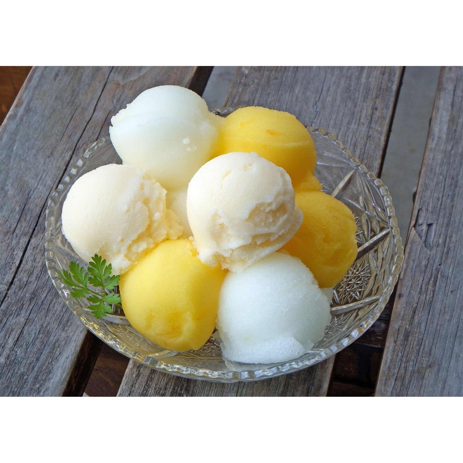 Madein土佐アイスクリンシャーベットセット - ROJI日本橋 ONLINE STORE