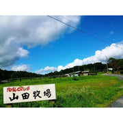 <滋賀県信楽>　山田牧場　芳醇レアチーズケーキ - ROJI日本橋 ONLINE STORE