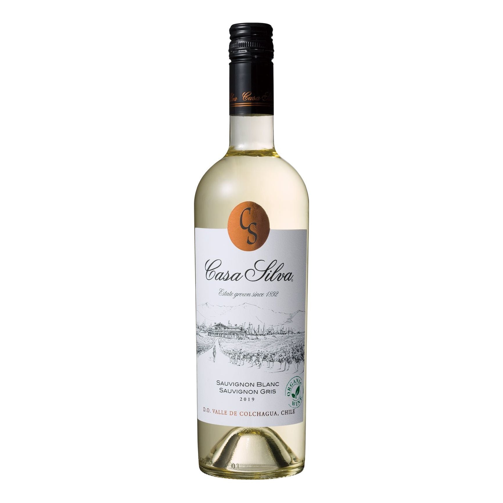 ヴィーニャ・カサ・シルヴァ　ソーヴィニヨン・ブラン ソーヴィニヨン・グリ　白 - ROJI日本橋 ONLINE STORE