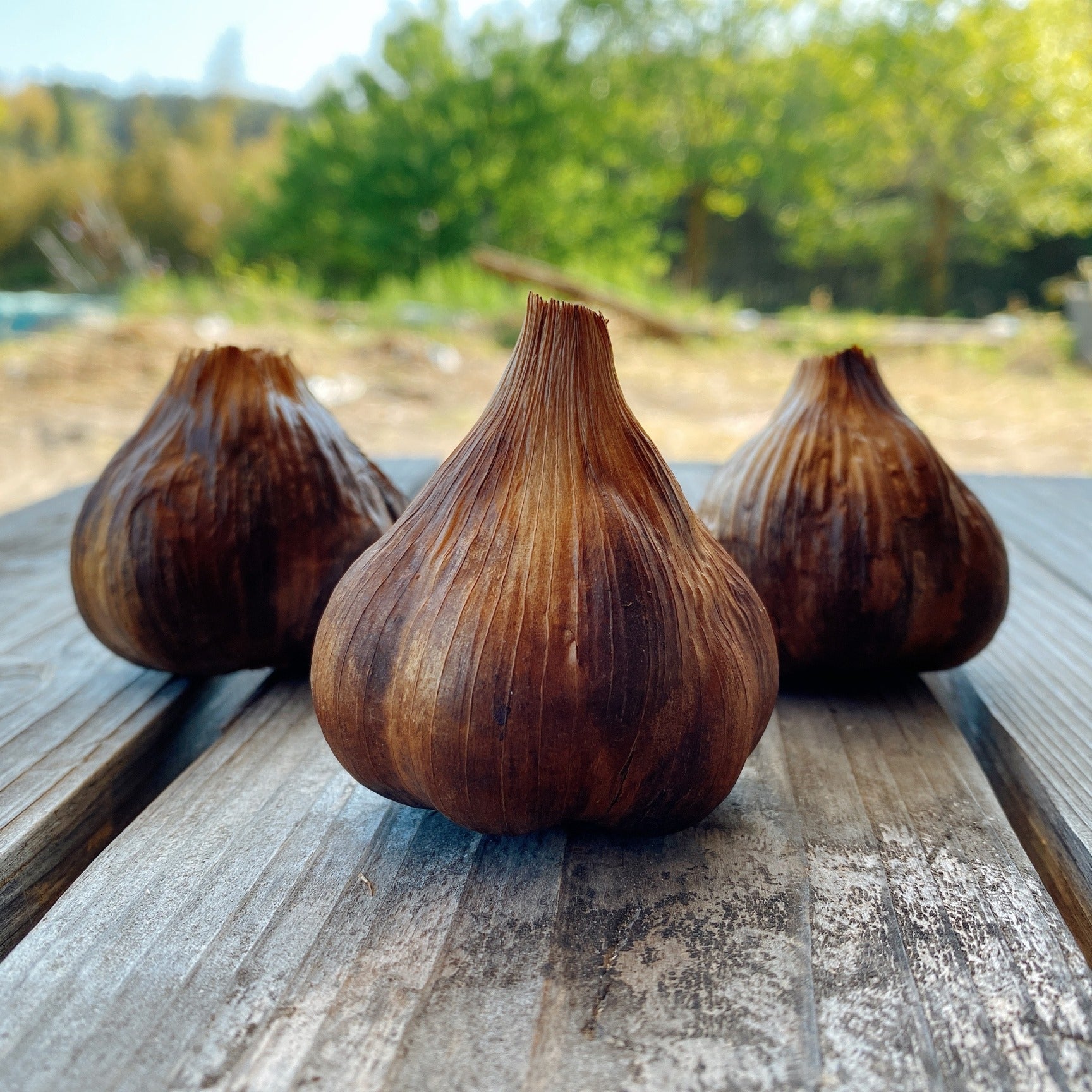 横福　薫の黒にんにく - ROJI日本橋 ONLINE STORE